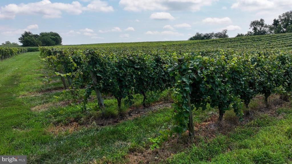 Land in Harrison Township, New Jersey, United States 4 - 17361175