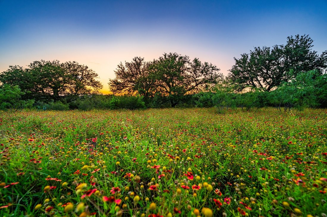 Farm Ranch in Marble Falls, Texas, United States 4 - 14798456