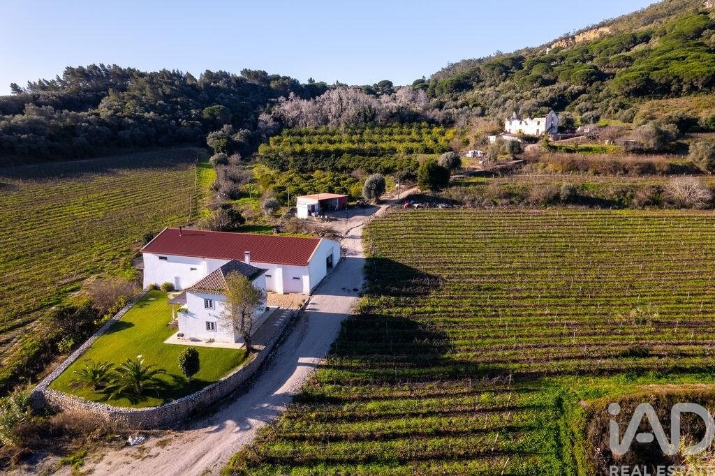 Farm Ranch in Setubal, Setubal, Portugal 1 - 17368777