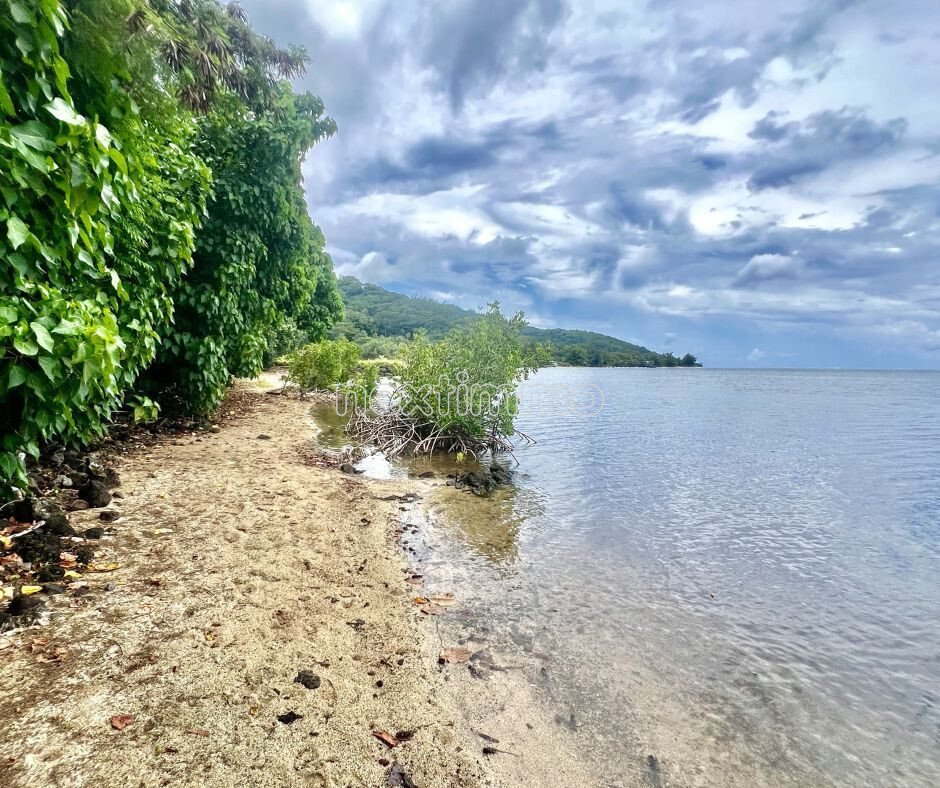 Land in Moorea-Maiao, Windward Islands, French Polynesia 2 - 17362511