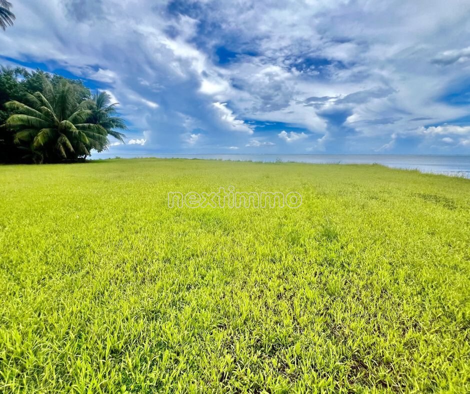 Land in Moorea-Maiao, Windward Islands, French Polynesia 4 - 17362511