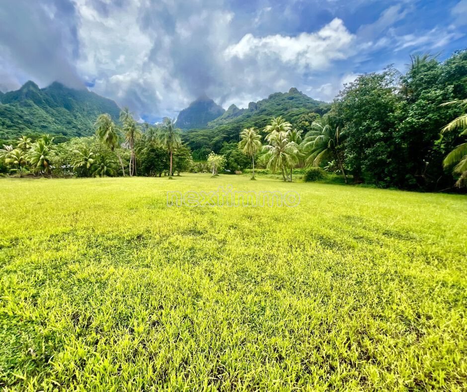Land in Moorea-Maiao, Windward Islands, French Polynesia 5 - 17362511