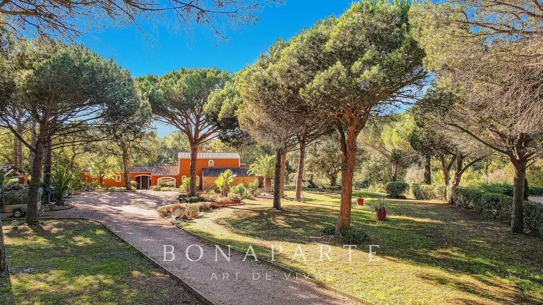 House in Nord RN, Puget-sur-Argens, France 2 - 17358016