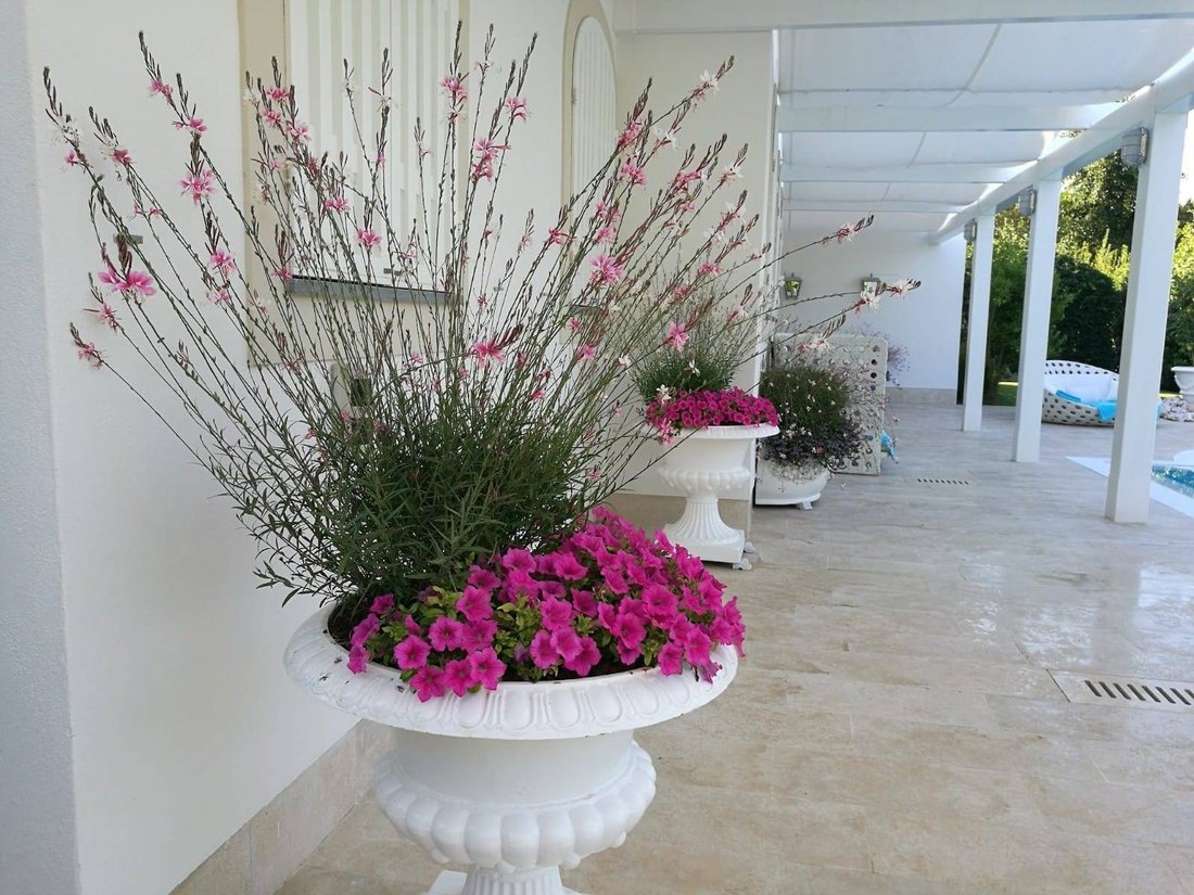 Villa in Zentrum, Forte dei Marmi, Toskana 3 - 17361634