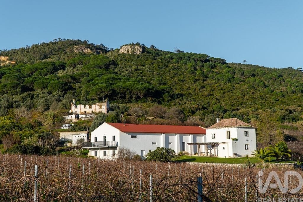 Farm Ranch in Setubal, Setubal, Portugal 2 - 17368777