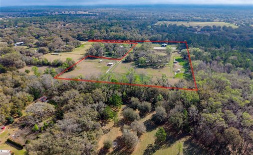 Land in Williston, Florida, United States 1