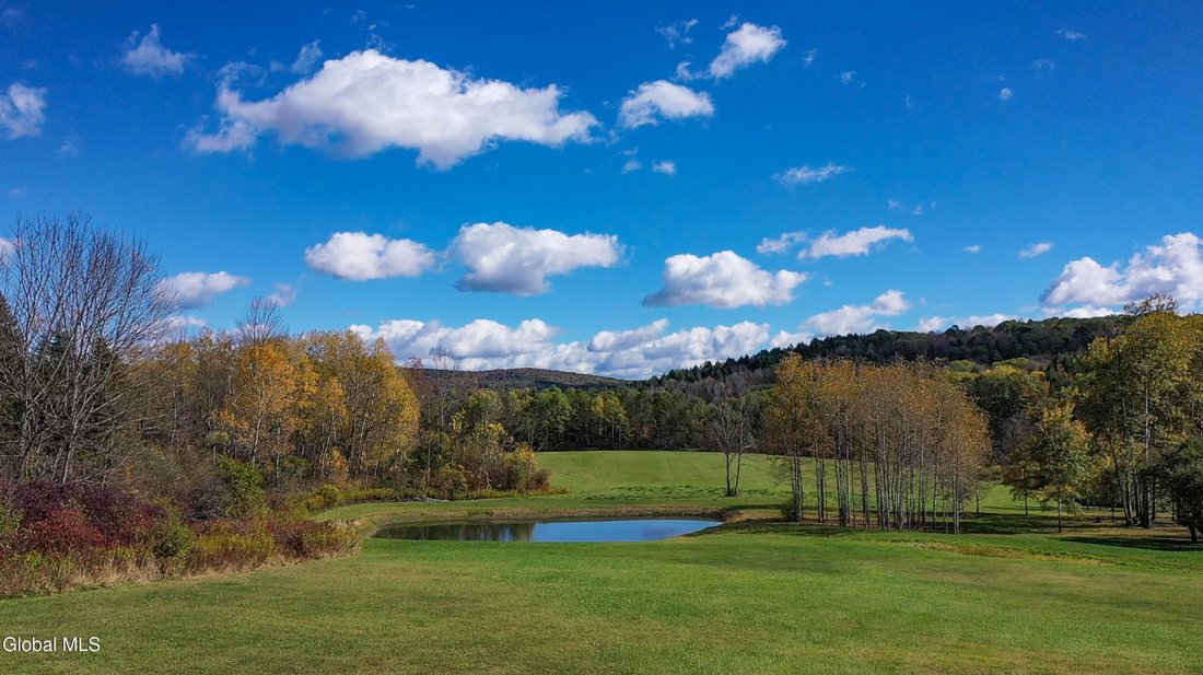 Farm Ranch in Hartwick, New York, United States 5 - 17356617