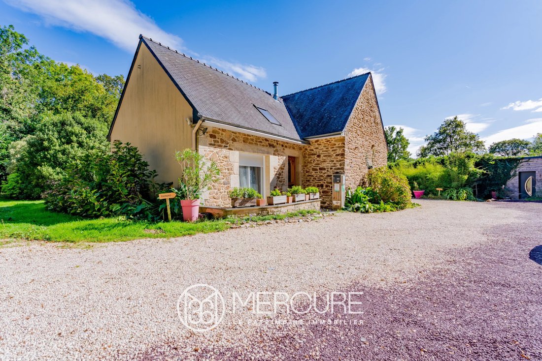 Estate in Ambon, Brittany, France 4 - 16461561