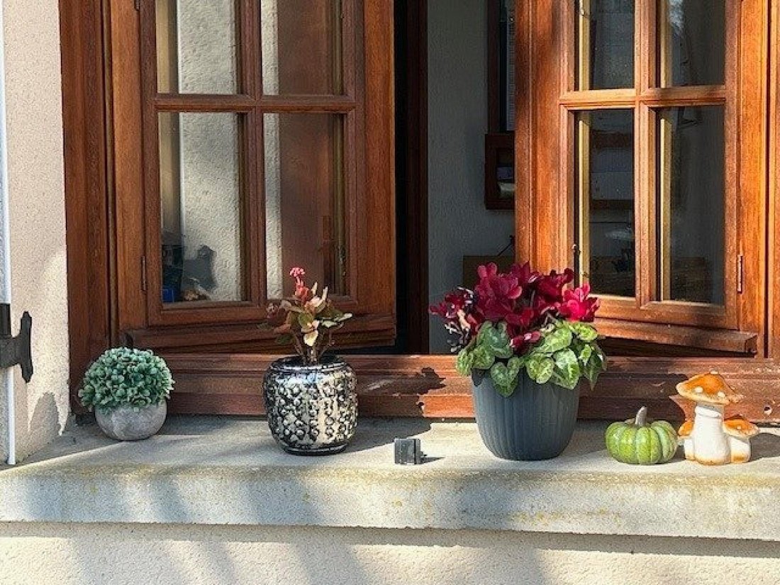 House in Saint-André-des-Eaux, Pays de la Loire, France 3 - 17365982
