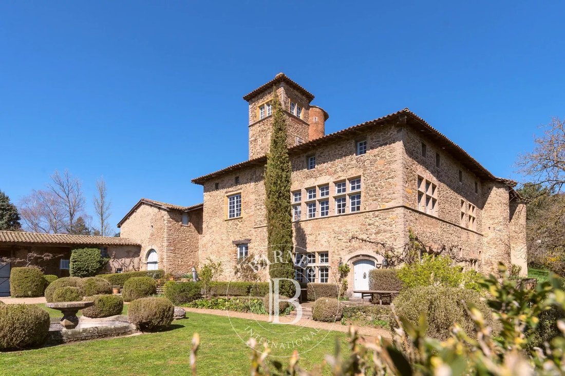 Estate in Limonest, Auvergne-Rhône-Alpes, France 3 - 17365830
