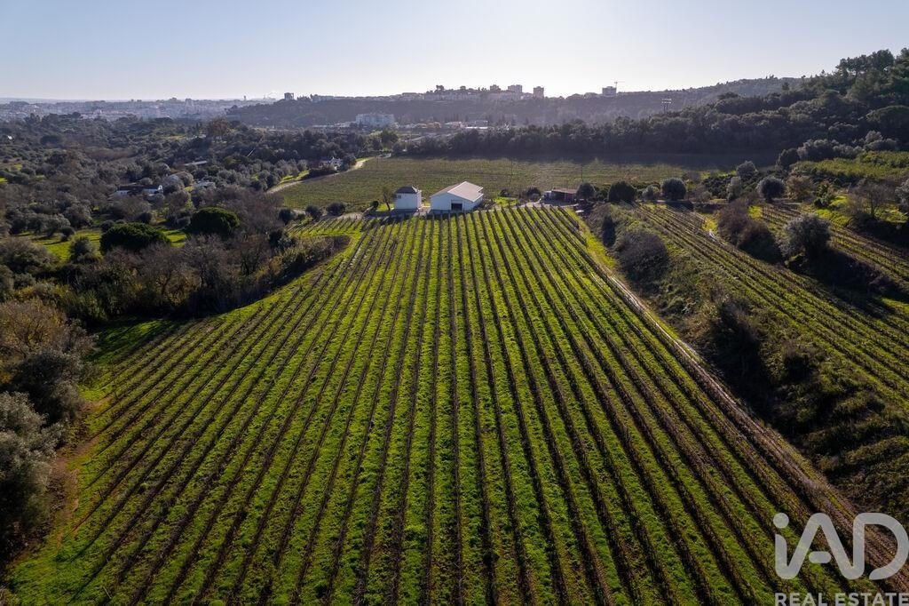 Farm Ranch in Setubal, Setubal, Portugal 5 - 17368777