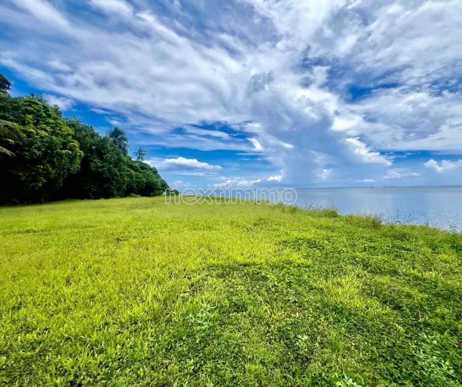 Land in Moorea-Maiao, Windward Islands, French Polynesia 3 - 17362511