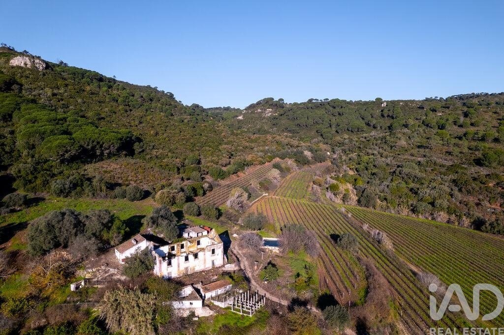 Farm Ranch in Setubal, Setubal, Portugal 4 - 17368777