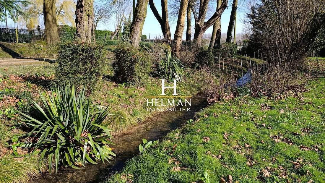 Estate in Tingry, Hauts-de-France, France 5 - 17362491
