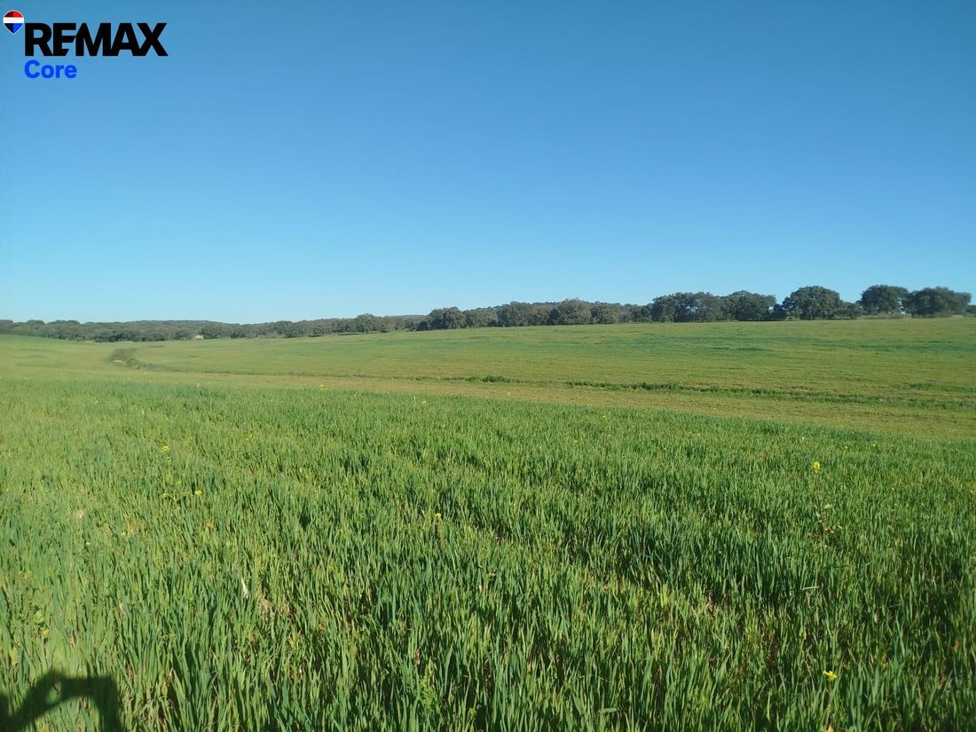 Land in Merida, Extremadura, Spain 5 - 16648517