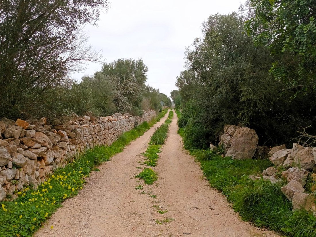 Santanyi, Balearic Islands, Spain 2 - 17363769