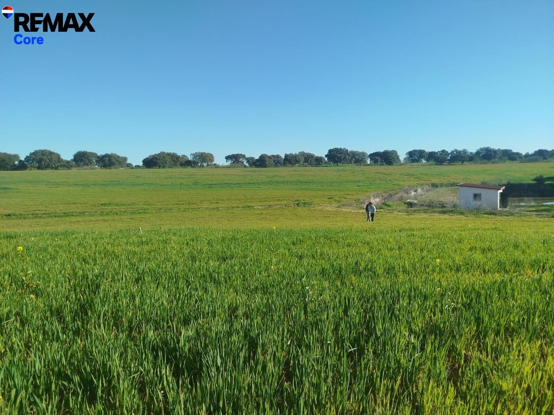 Land in Merida, Extremadura, Spain 3 - 16648517