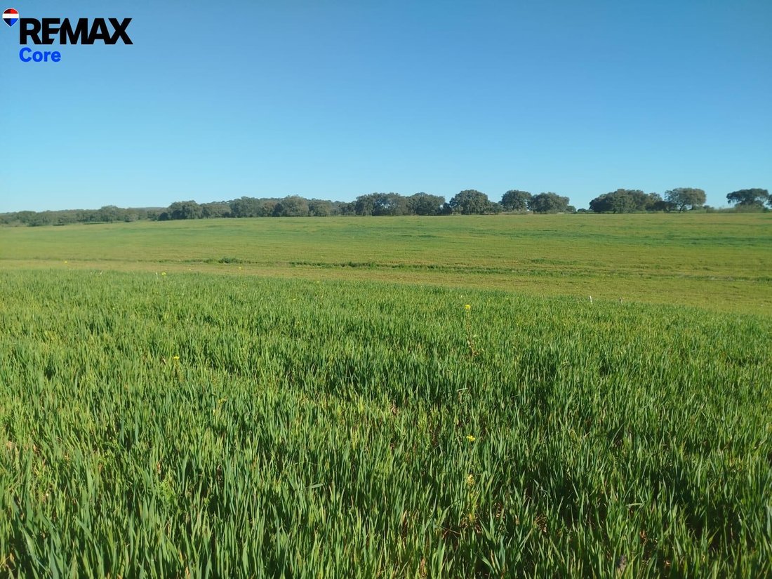 Land in Merida, Extremadura, Spain 1 - 16648517