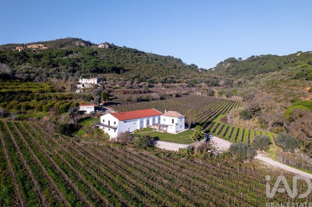 Farm Ranch in Setubal, Setubal, Portugal 3 - 17368777