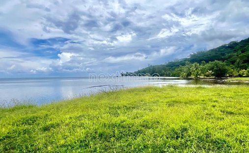 Land in Moorea-Maiao, Inseln über dem Winde, Französisch-Polynesien 1