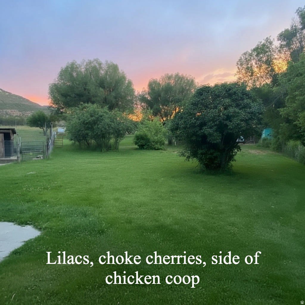House in Vernal, Utah, United States 5 - 17356525