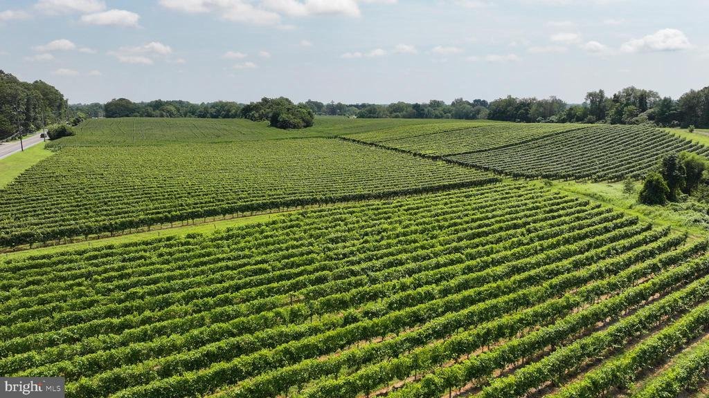 Land in Harrison Township, New Jersey, United States 5 - 17361175