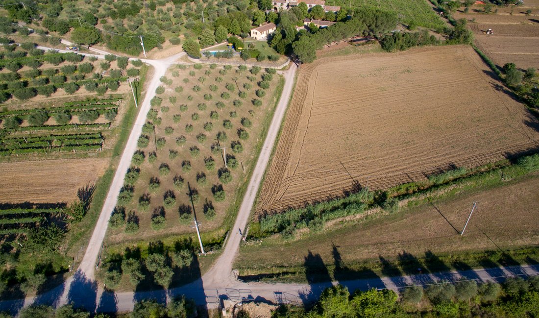 Villa in Center, Cortona, Tuscany 4 - 17369093