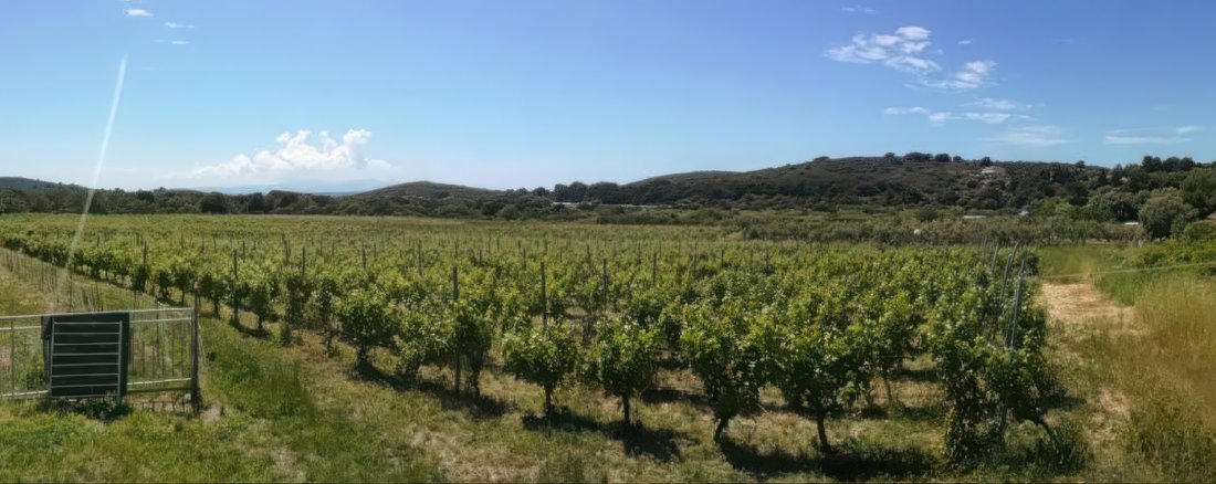 Land in Split-Dalmatia County, Croatia 2 - 17372084