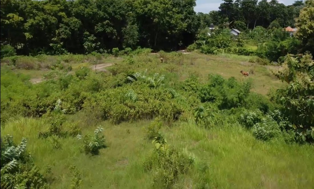 Land in South Kuta, Bali, Indonesia 5 - 17372185