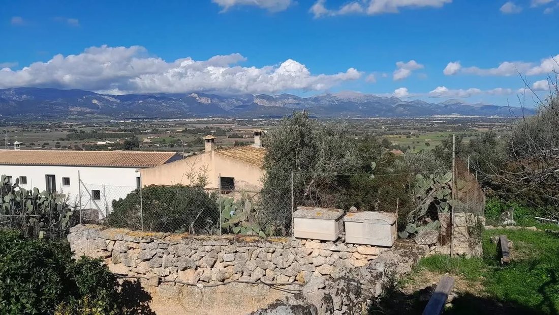House in Santa Eugenia, Balearic Islands, Spain 1 - 17372252