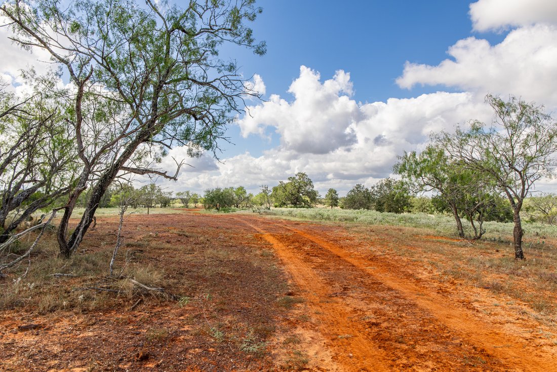 Farm Ranch in Nixon, Texas, United States 1 - 17372460