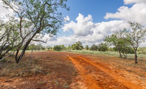 Azienda agricola a Nixon, Texas, Stati Uniti 1