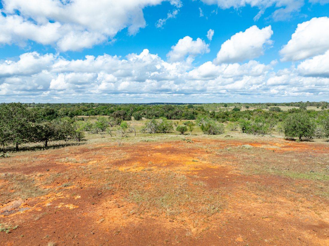 Farm Ranch in Nixon, Texas, United States 3 - 17372460