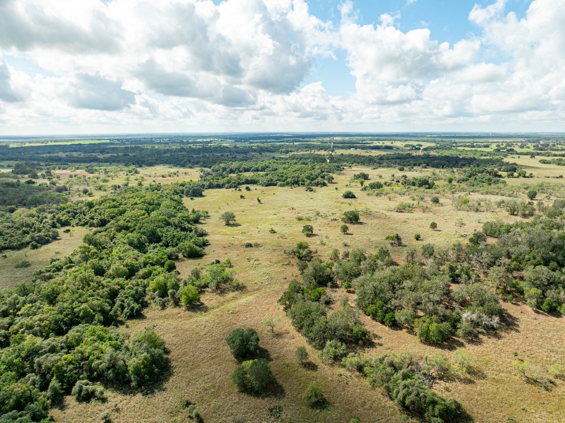 Farm Ranch in Nixon, Texas, United States 5 - 17372460