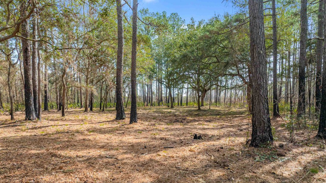 Land in Pawleys Island, South Carolina, United States 5 - 17374069