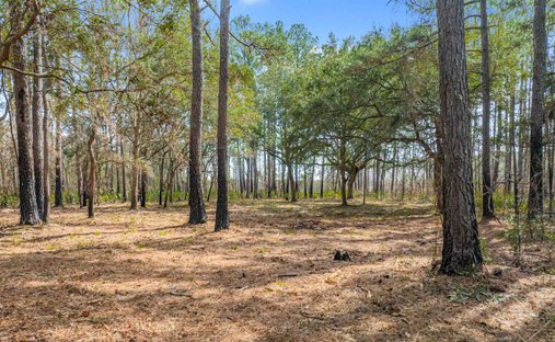 Terreno a Pawleys Island, Carolina del Sud, Stati Uniti 1