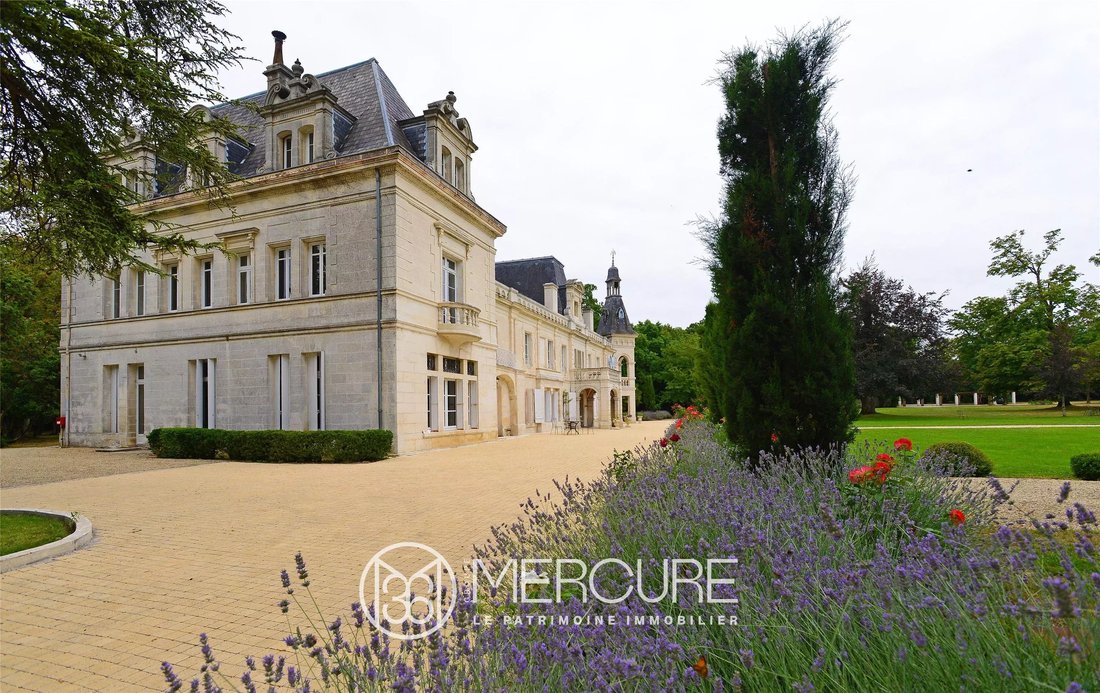 Castle in Cognac, Nouvelle-Aquitaine, France 3 - 12413303