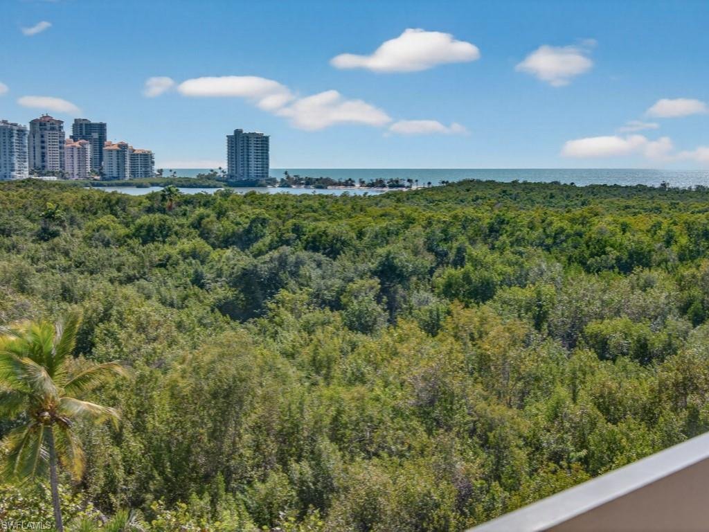 Condo in Naples, Florida, United States 3 - 17374501