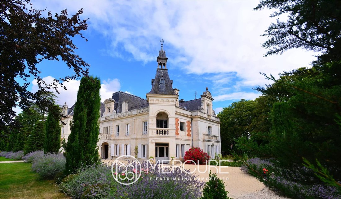 Castle in Cognac, Nouvelle-Aquitaine, France 4 - 12413303