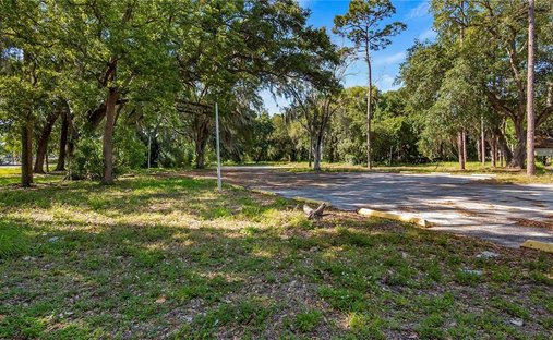 Terreno a Kissimmee, Florida, Stati Uniti 1