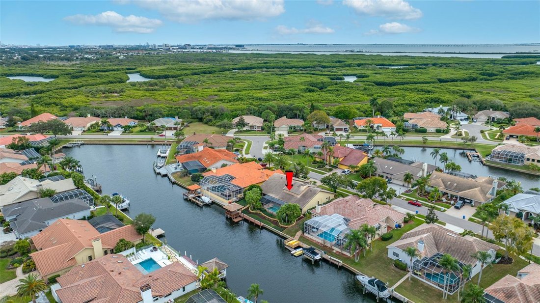 House in Tampa, Florida, United States 3 - 17372888