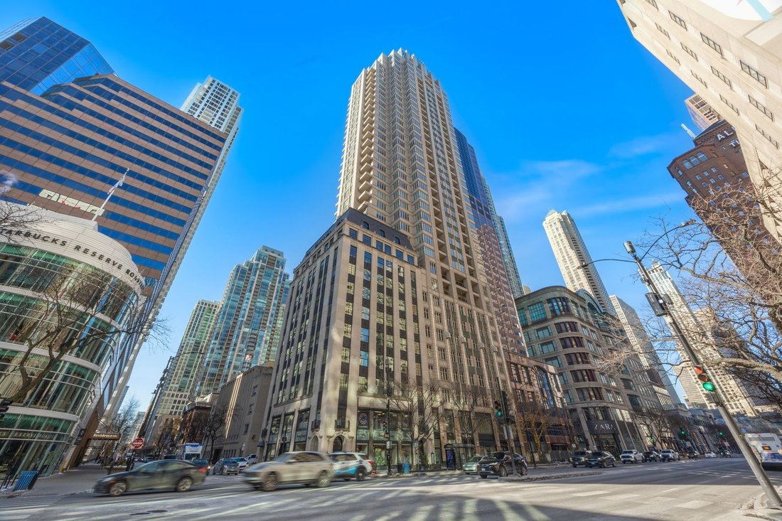 Condo in Chicago, Illinois, United States 1 - 17373939