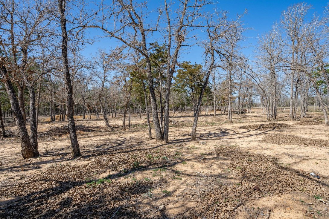 House in Dale, Texas, United States 2 - 17372581