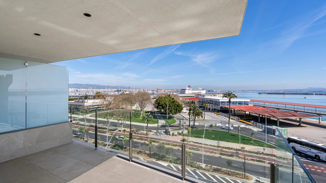 Apartment in Palma, Balearic Islands, Spain 3 - 17372959