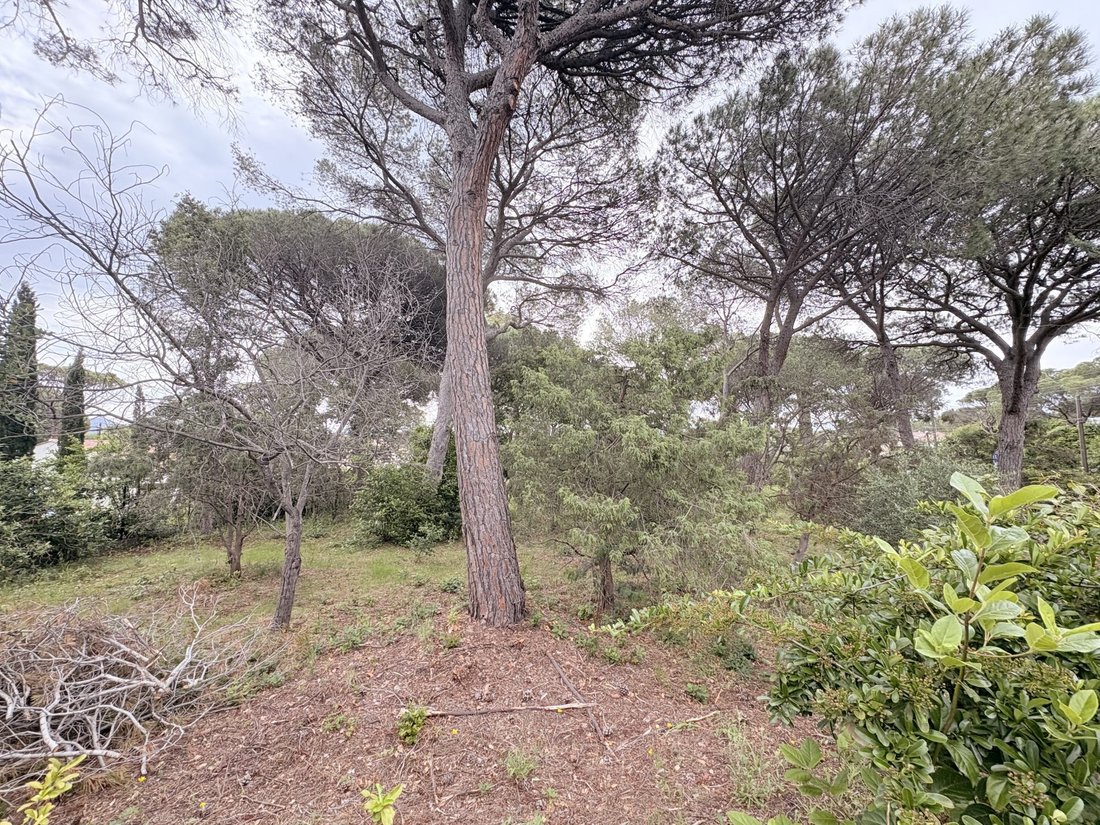 Terrain à Le Dramont-Agay-Anthéor-Le Trayas, Saint-Raphaël, France 4 - 17378064