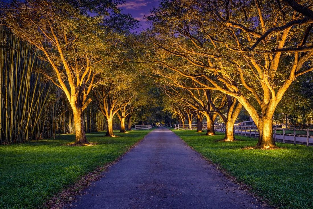 House in Davie, Florida, United States 1 - 16633804