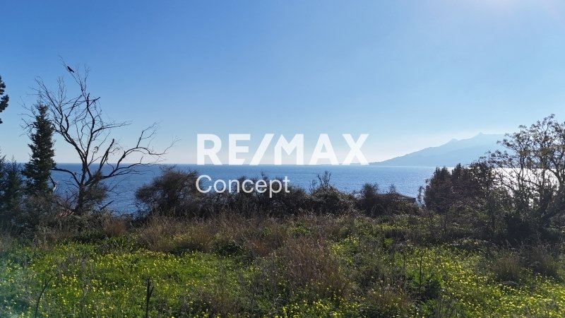 Land in Municipal Commune of Zakynthos, Peloponnese, Western Greece and the Ionian, Greece 5 - 17378492