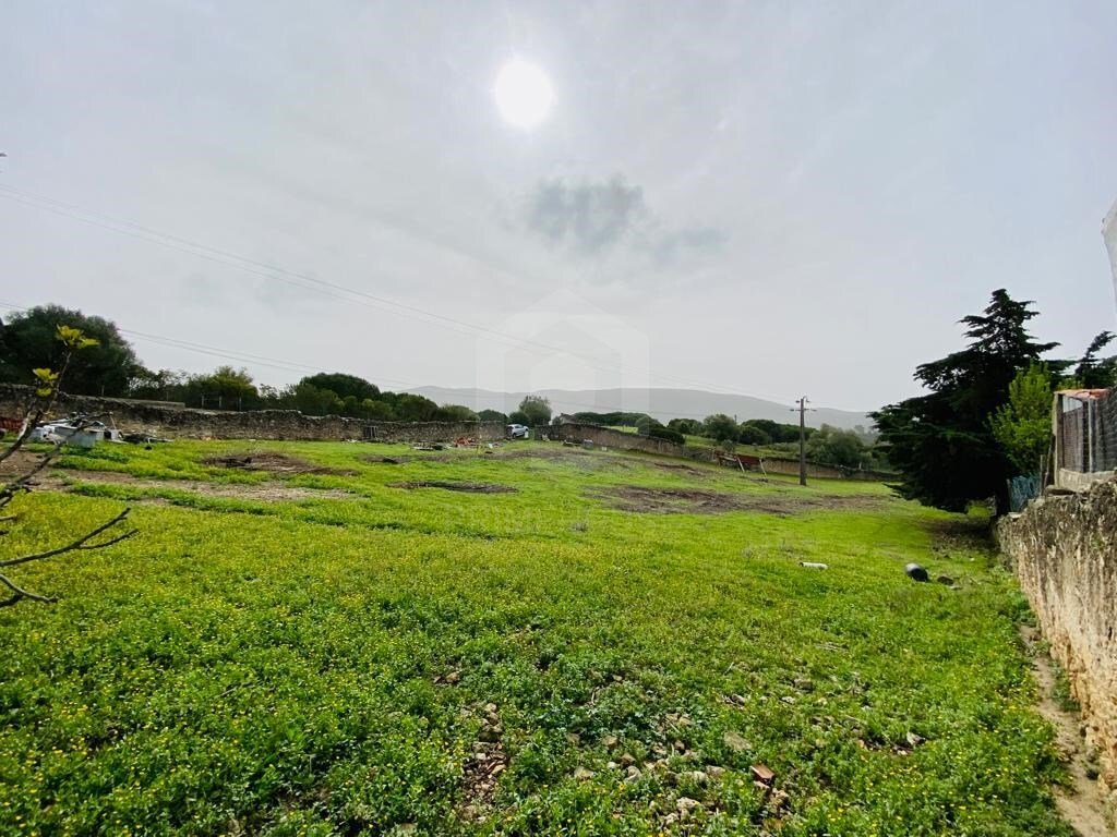 Land in Azeitao (Sao Lourenco e Sao Simao), Setubal, Portugal 3 - 17377371