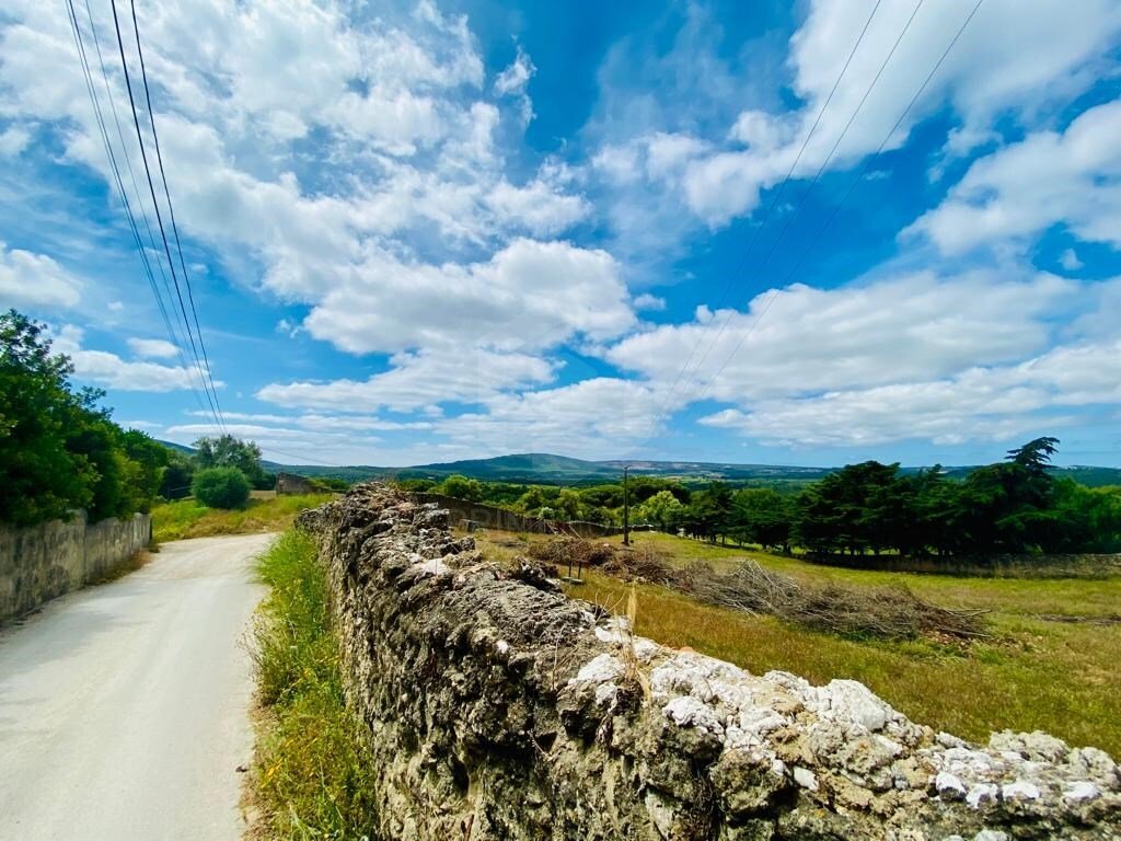 Land in Azeitao (Sao Lourenco e Sao Simao), Setubal, Portugal 1 - 17377371