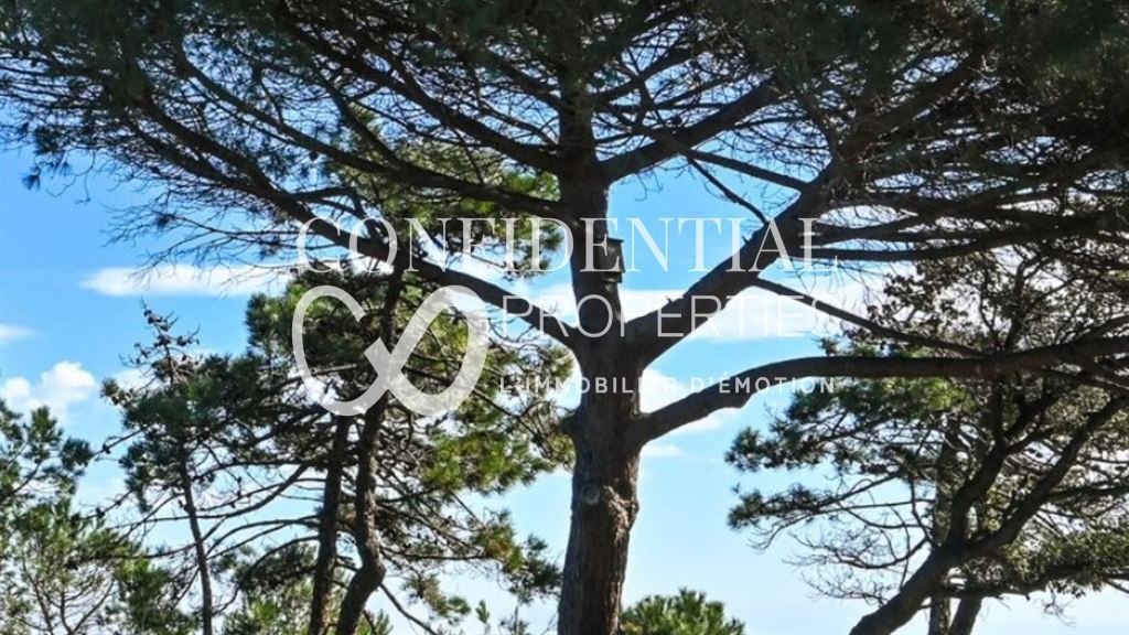 Estate in Port Grimaud, Grimaud, Provence-Alpes-Côte d'Azur 5 - 16796157